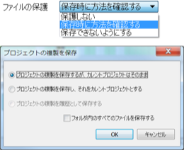 プロジェクトの保護と複製